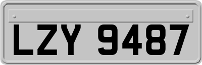 LZY9487