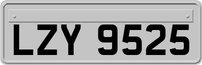 LZY9525