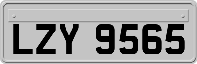 LZY9565