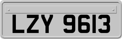 LZY9613