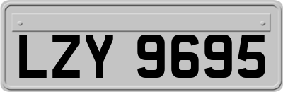 LZY9695