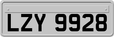 LZY9928