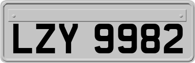 LZY9982