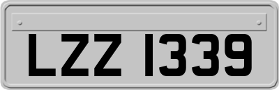 LZZ1339