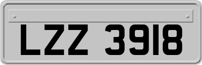 LZZ3918