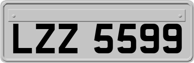 LZZ5599
