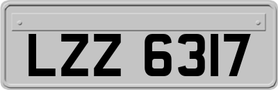 LZZ6317