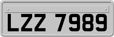 LZZ7989