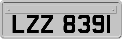 LZZ8391