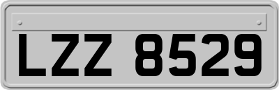 LZZ8529