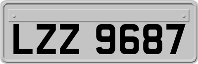 LZZ9687