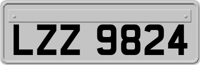 LZZ9824