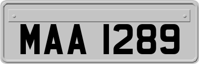 MAA1289