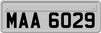 MAA6029