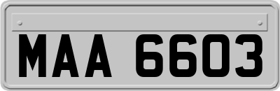 MAA6603