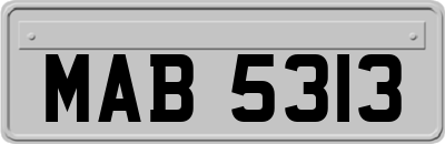 MAB5313
