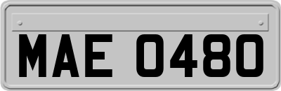 MAE0480