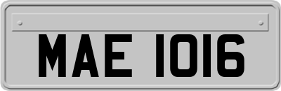 MAE1016