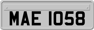 MAE1058
