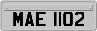 MAE1102