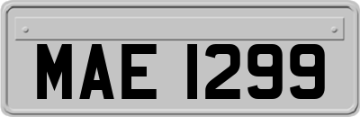 MAE1299