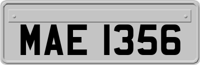 MAE1356