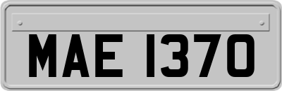 MAE1370