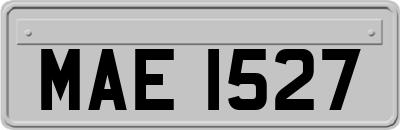 MAE1527