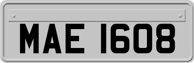 MAE1608