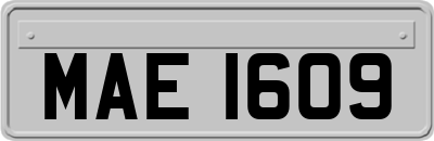 MAE1609