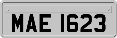MAE1623
