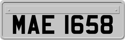 MAE1658