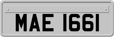 MAE1661