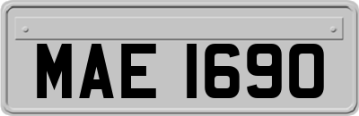 MAE1690