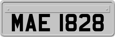 MAE1828