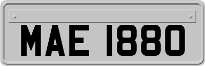 MAE1880