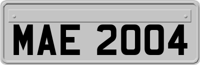 MAE2004