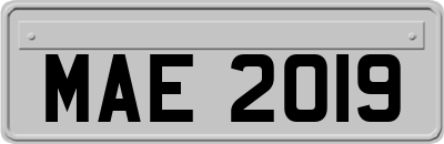 MAE2019