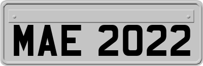 MAE2022