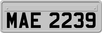 MAE2239