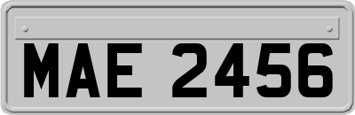 MAE2456
