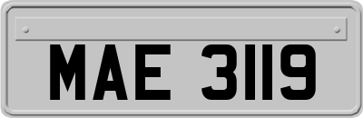 MAE3119