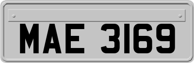 MAE3169