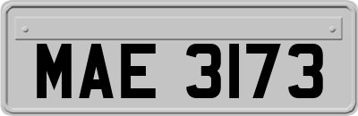 MAE3173