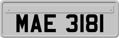 MAE3181