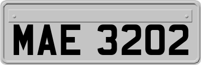 MAE3202
