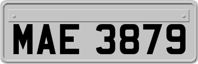 MAE3879