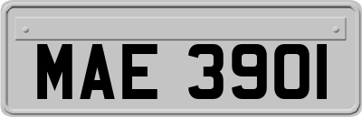 MAE3901
