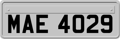 MAE4029