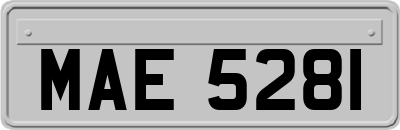 MAE5281